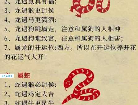 排忧解难指什么生肖 揭秘最会帮人解围的生肖