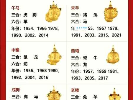 方寸不乱打一正确生肖揭秘看看你属相准不准