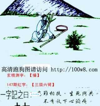 西风两岸芦花斜是指什么生肖你知道吗