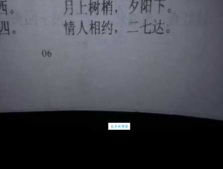 西风两岸芦花斜是指什么生肖你知道吗