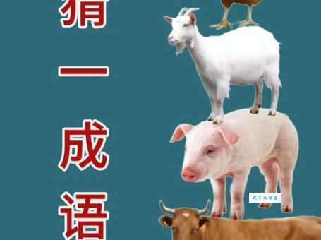 如沐春风打一最佳生肖想不到这个动物最符合