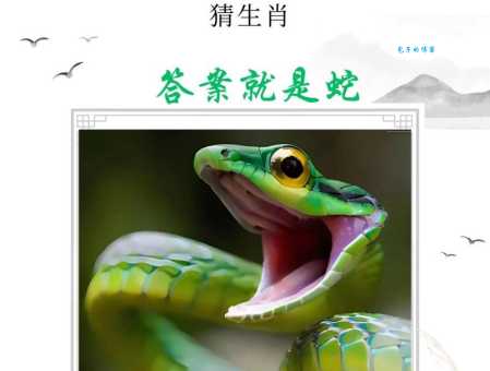 百尺竿头打一个生肖你猜对了吗