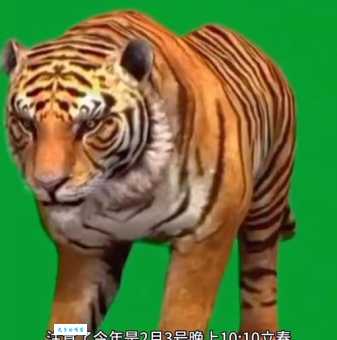 令出如山打一生肖答案竟然是这个动物