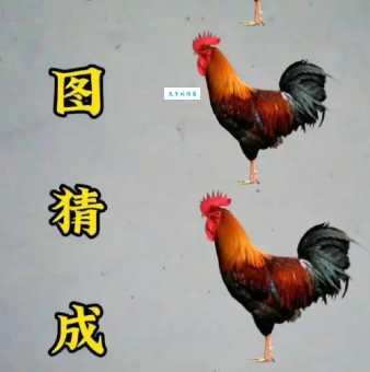 令出如山打一生肖答案竟然是这个动物