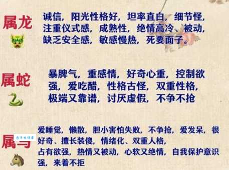 七八之数二相配准确生肖的奥秘揭秘