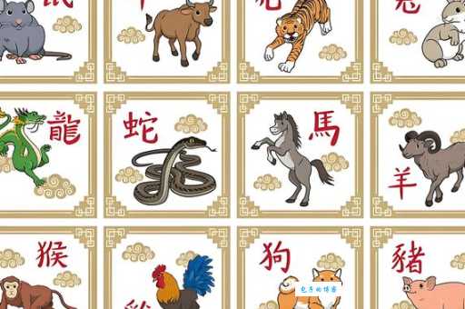 四五合单福四九最佳生肖指南如何提升财运