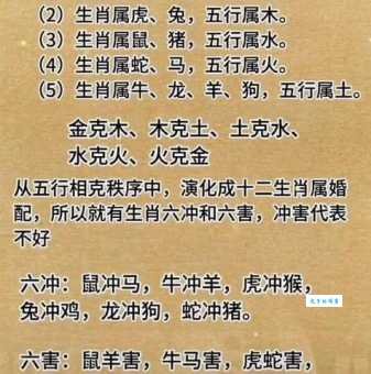 五心十八千万端指什么生肖 揭秘这个生肖的独特含义