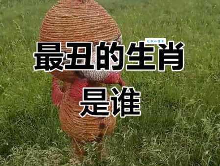 当面出丑是什么生肖 生肖性格分析谁最丢脸