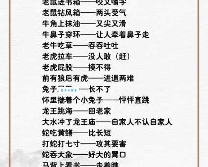 万丈红尘一杯酒是什么生肖 看看你猜对了吗