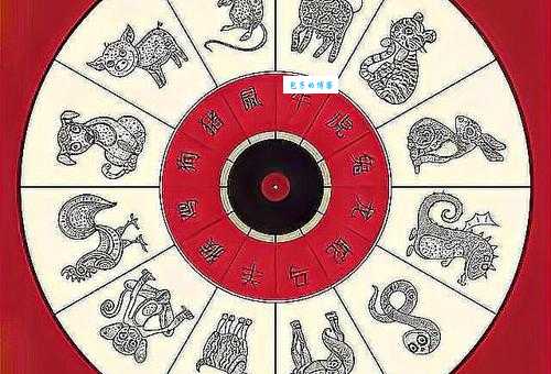 星光四射代表什么生肖 揭秘最闪耀的生肖象征