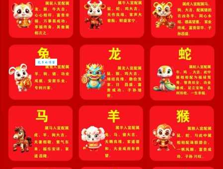 倏来忽往最佳生肖解析,看看你的属相上榜了吗