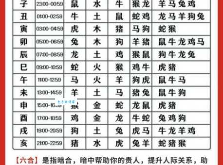 五米三步马在追是指什么生肖看看你属相