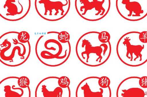 光说不练是什么生肖 哪些生肖总是雷声大雨点小