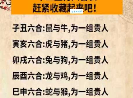 水送山迎打一准确生肖揭秘看看你属相中没中