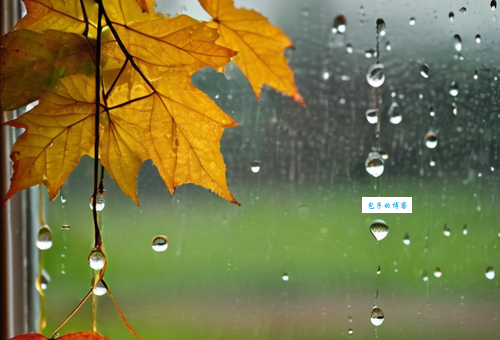 秋雨绵绵是什么生肖 揭秘雨天代表的生肖动物