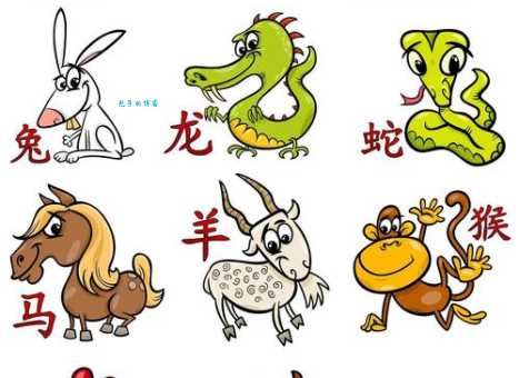 秋雨绵绵是什么生肖 揭秘雨天代表的生肖动物