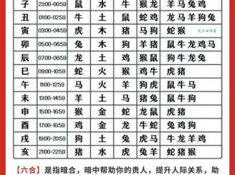 指手画脚指什么生肖 揭秘最爱管闲事的属相