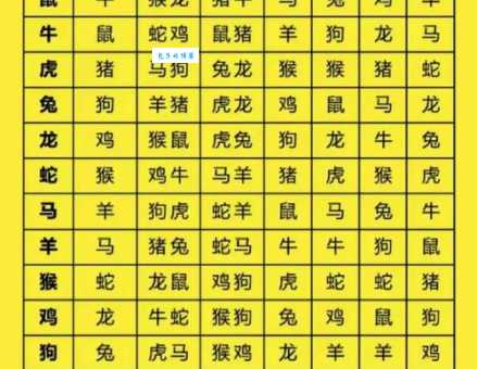一见如故打一生肖这个属相的人天生好人缘