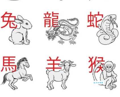 一发千钧二三数猜一生肖这个生肖你绝对想不到