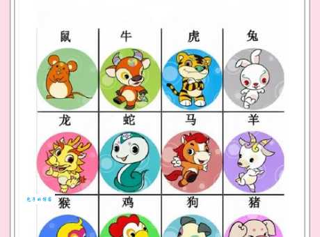 乐在其中指什么生肖 十二生肖里谁最懂得享乐