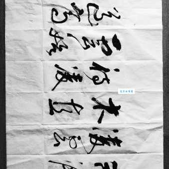 时人不识凌云木打一正确生肖究竟指哪个