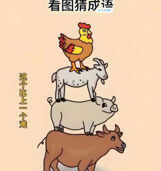 犀牛望月打一个生肖谜底揭晓原来这么简单