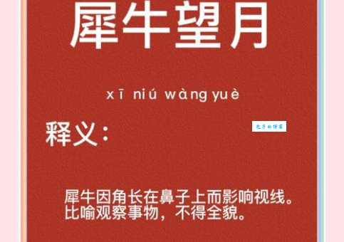 犀牛望月打一个生肖谜底揭晓原来这么简单