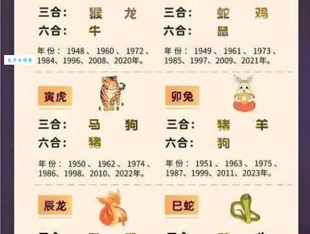 点滴归公打一准确生肖这个生肖你猜对了吗