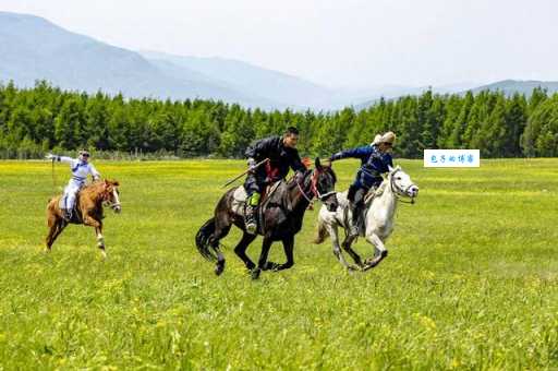 一碧千里指什么生肖 原来是指这个草原上的动物