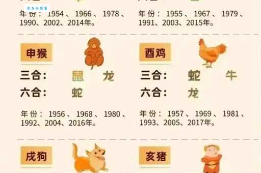 水火不容是什么生肖 揭秘相克生肖有哪些