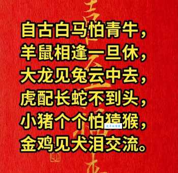 且战且走是什么生肖揭秘这个生肖的独特智慧
