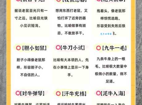 且战且走是什么生肖揭秘这个生肖的独特智慧