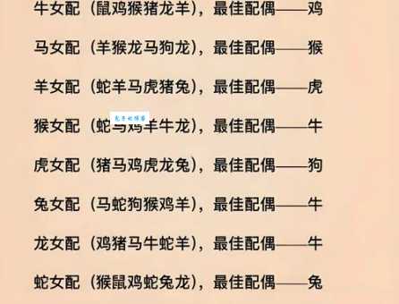 空谈无补是什么生肖 十二生肖中谁最爱纸上谈兵