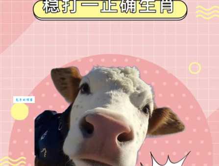 四平八稳打一正确生肖很多人都猜错了你知道吗