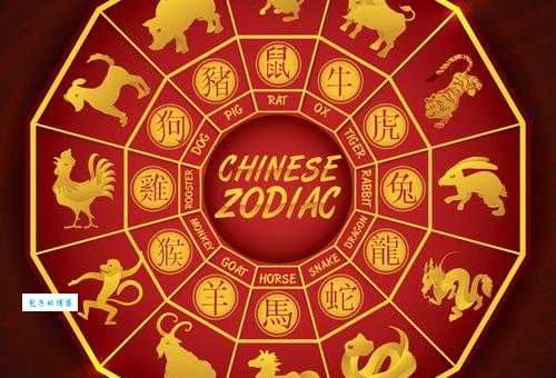 悬崖勒马最准生肖揭秘原来是它没错