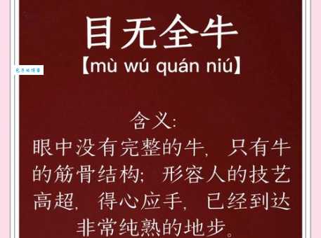 目无全牛是什么生肖 十二生肖中谁最符合这个描述