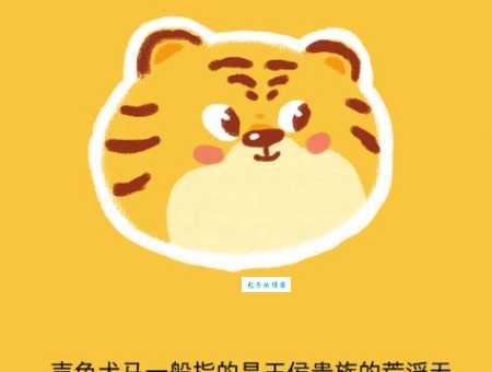 秋雨绵绵是指什么生肖 快来对照你的生肖吧