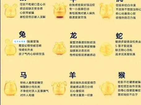 英雄本色是什么生肖 十二生肖中的英雄代表是谁