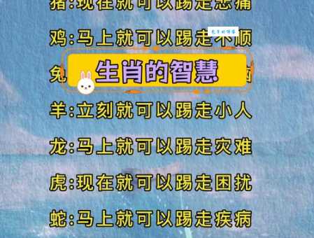 胆破心惊是什么生肖 十二生肖中谁最容易害怕