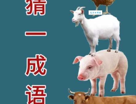 英明果断打一生肖猜猜看是什么动物这么厉害