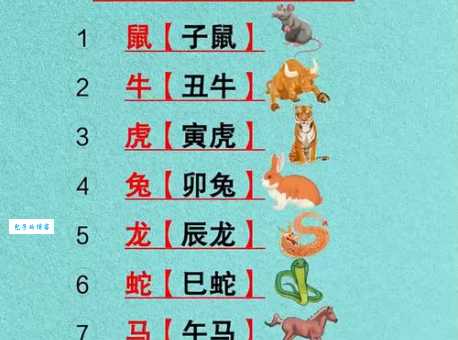 言谈举止是什么生肖 十二生肖中谁最懂礼貌