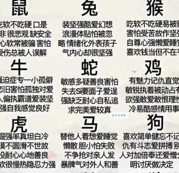 天南地北的生肖文化差异大揭秘