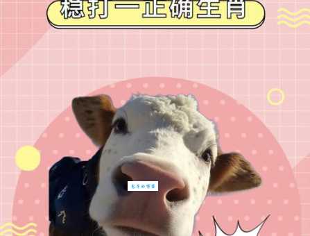 情不自禁打一个生肖快来试试你的手气