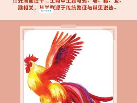 红光满面的生肖是什么生肖