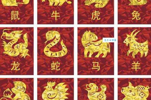 红光满面的生肖是什么生肖