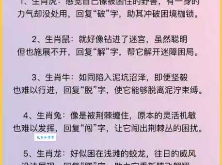 神通广大代表什么生肖？这几种生肖能力出众不简单！