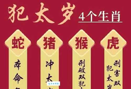 深山风动三更夜是什么生肖？专家解读其中奥秘！