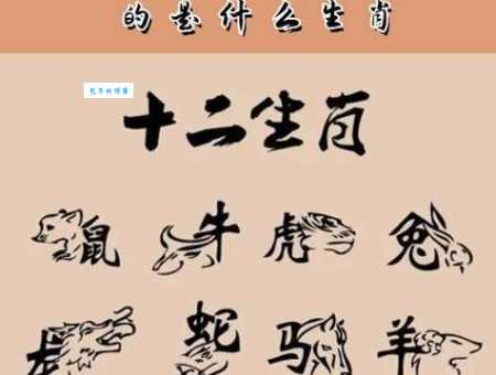 风狂雨猛指什么生肖？揭秘这个生肖的惊人特征！