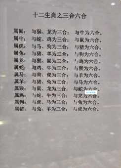 走马观花一九数是什么生肖