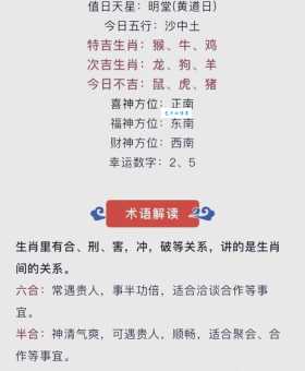 走马观花一九数是什么生肖